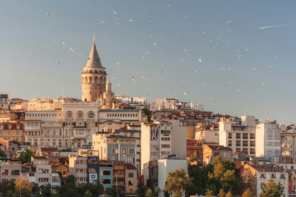 Tours and Holidays